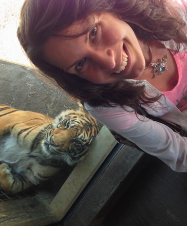 Jewelz visiting a tiger.